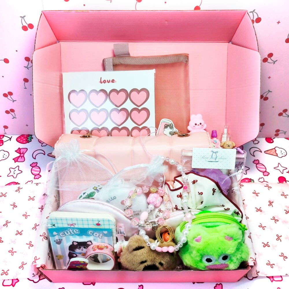 Bag Bundle Gift Box – 25+ Items!